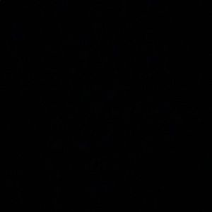 Meet your Posher, Yaya